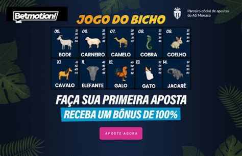 resultado jogo do bicho monte carlos